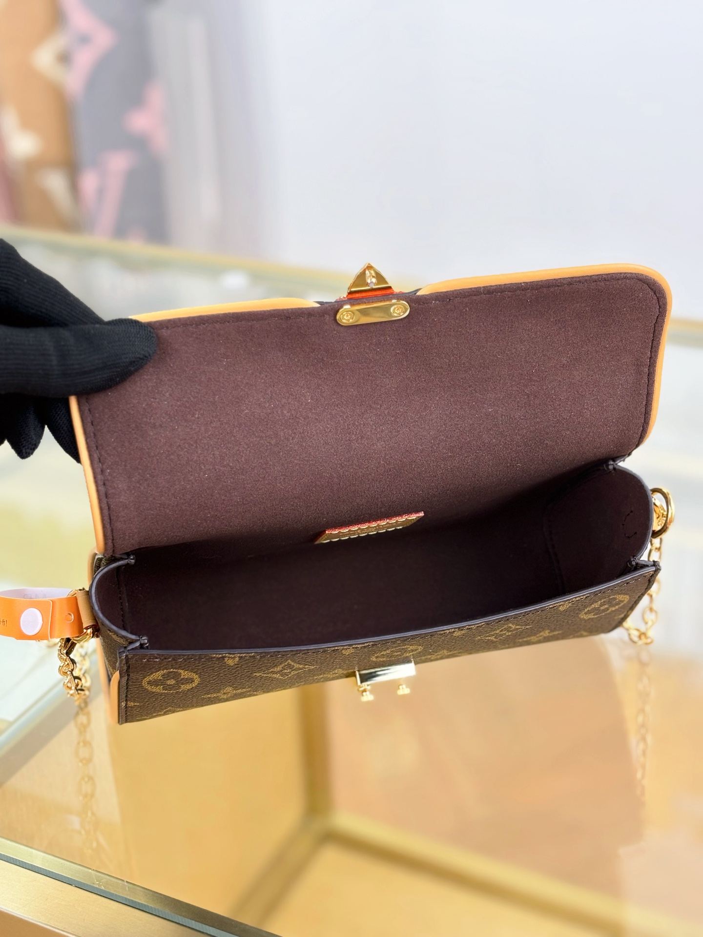 Louis Vuitton POCHETTE CAMILLE Handbag M13566
