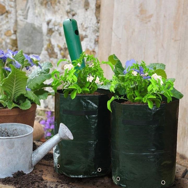 (🔥Last Day Promotion-SAVE 50% OFF)10 Gallons Large Capacity Vegetables Grow Planter PE Container Bag-BUY 4 GET 10% OFF & FREE SHIPPING