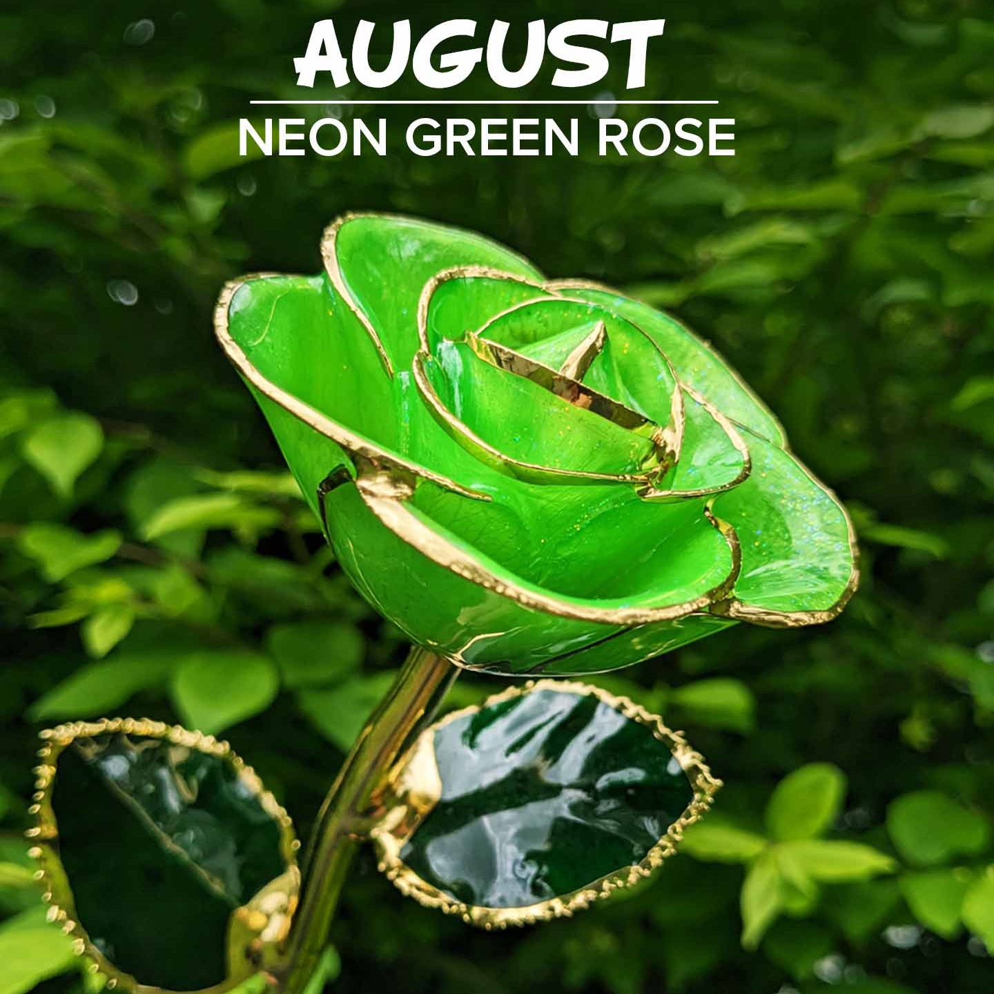 🔥HOT SALE🔥24kt Gold Dipped Rose Real Rose