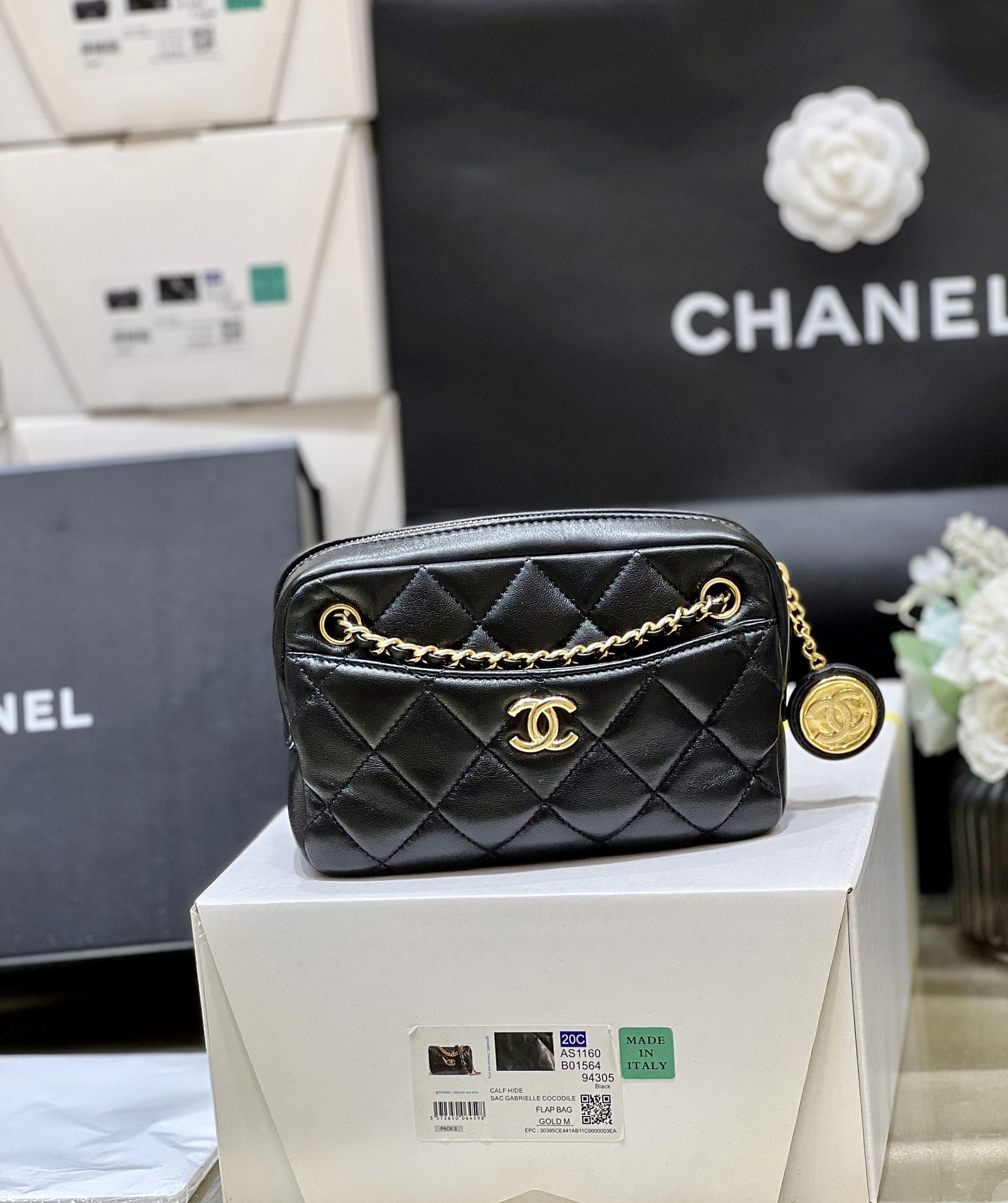 Chanel 24K Autumn and Winter Limited Edition Gold Coin Camera Bag AS5190