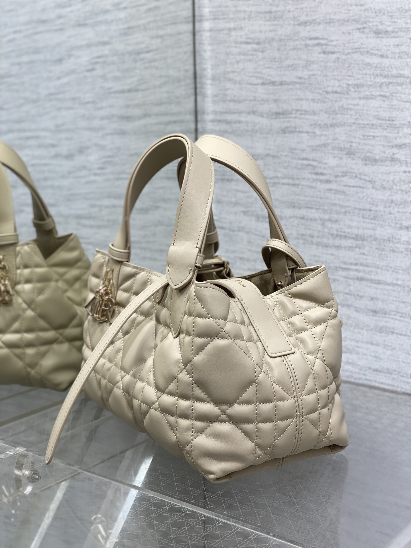 Dior Toujours Small Bag