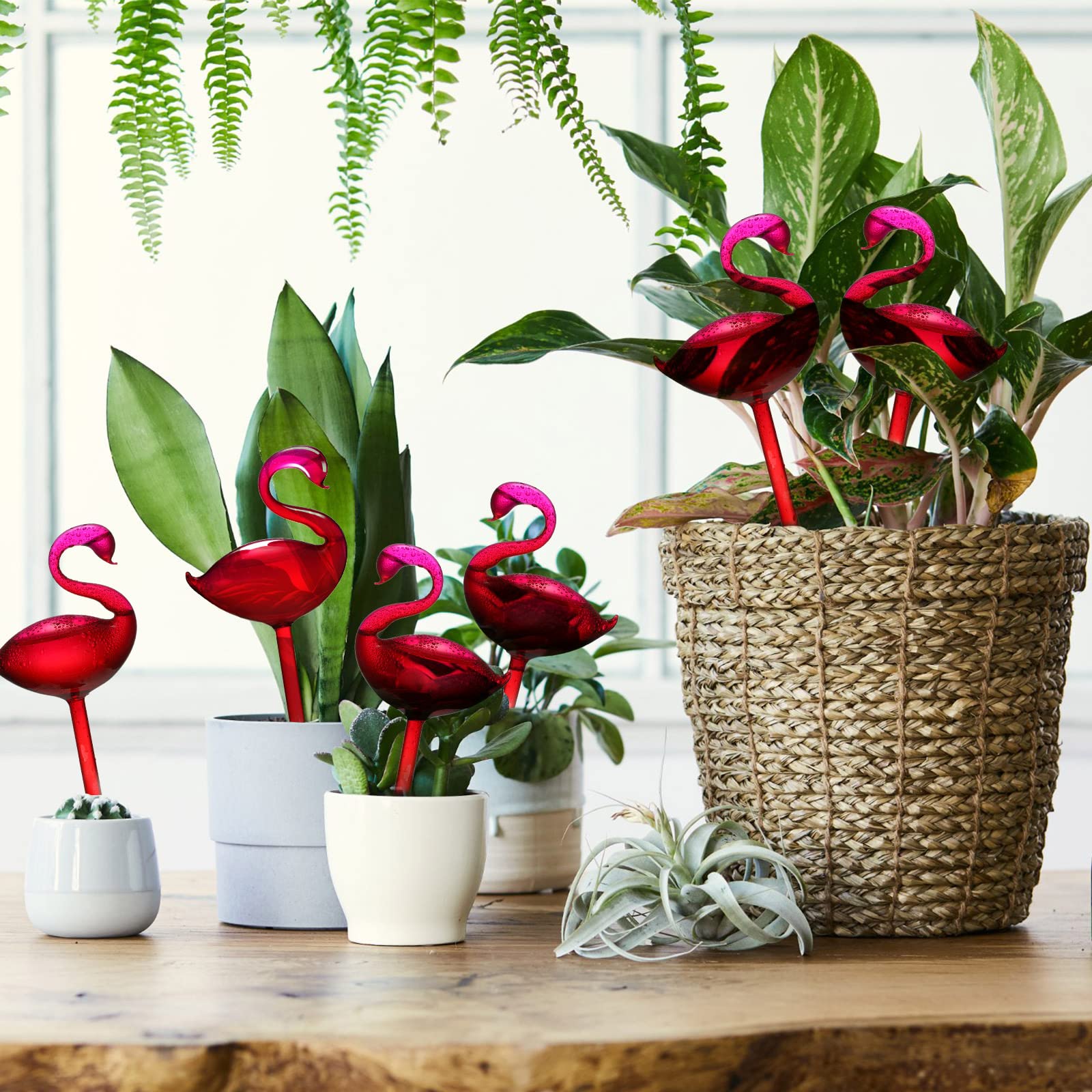 🔥NEW YEAR FLASH SALE 70% OFF🔥Self-Watering Glass Globes Flamingo Gradient Hot Pink