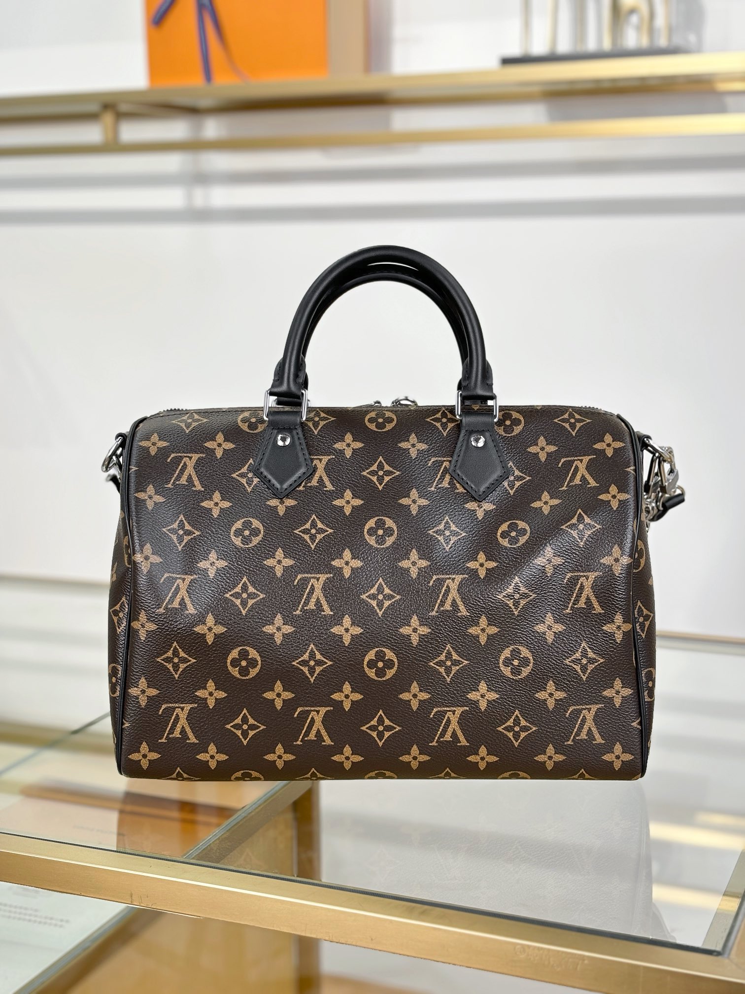 Louis Vuitton SPEEDY SOFT 30 DARK Handbag M12243