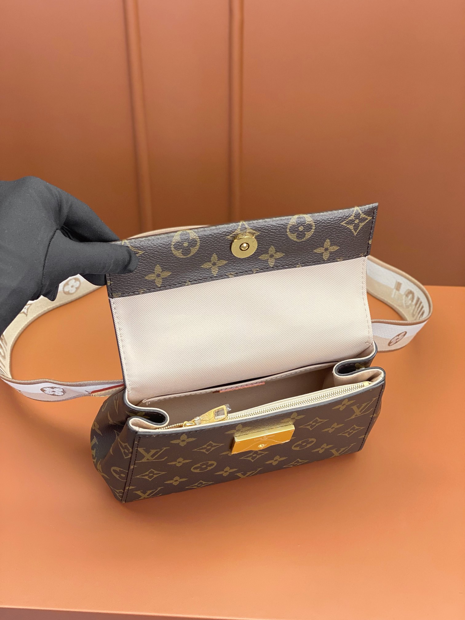 Louis Vuitton CLUNY Mini Bag M46055