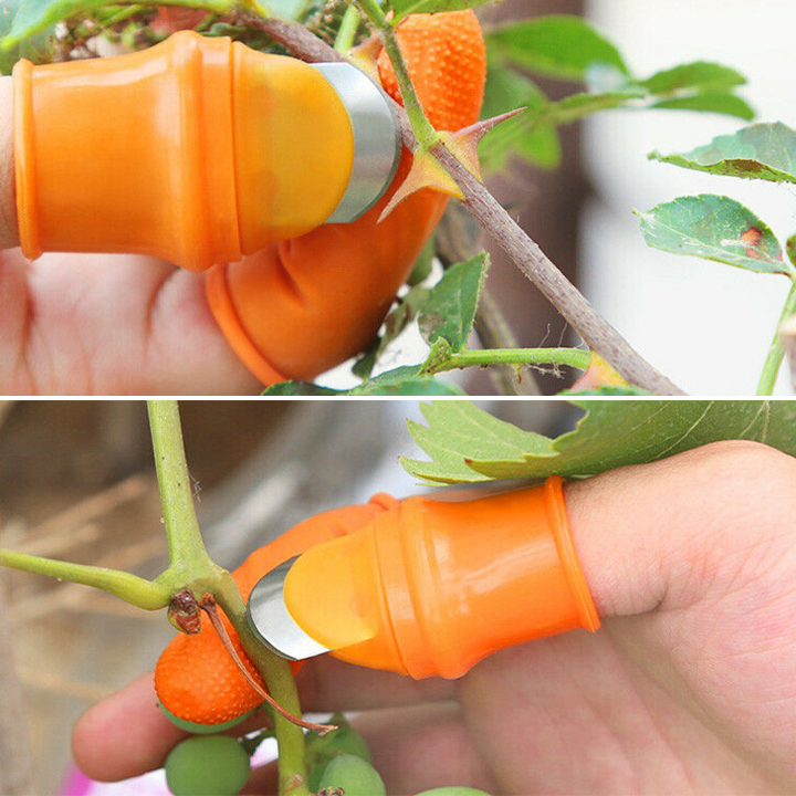 Harvesting Thumb Knife  (BUY 2 GET 1 FREE)