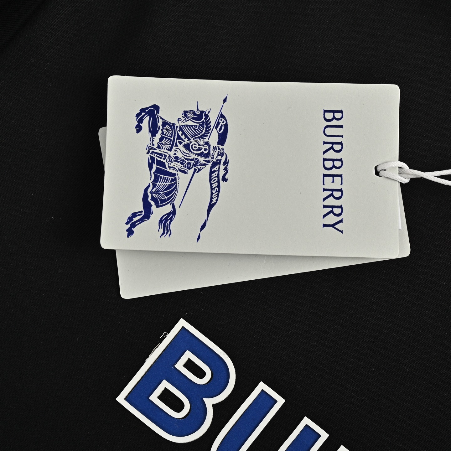 Burberry 25ss laminated blue letter print short sleeves