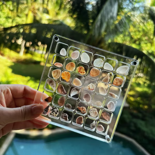 Acrylic Magnetic Shell Display Box
