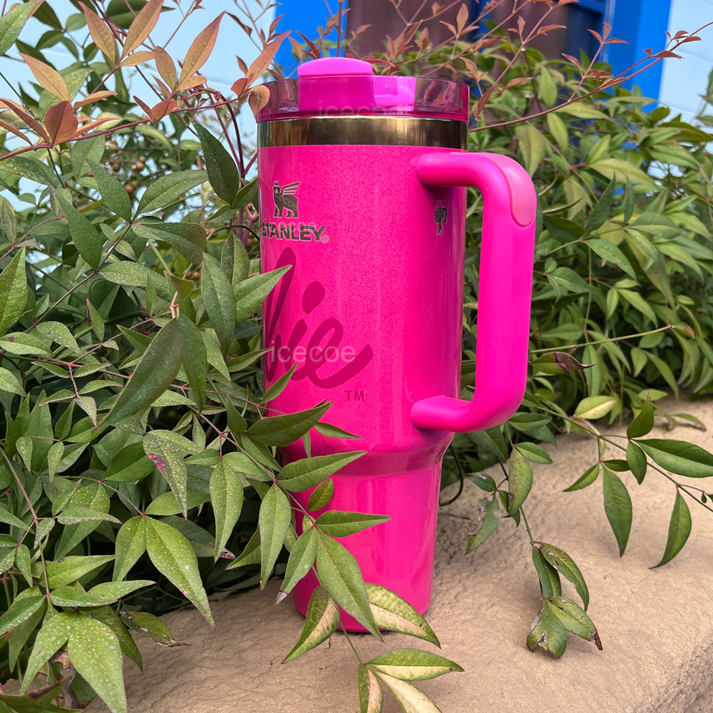 40oz Barbie Stainless Steel Vacuum Insulated Tumbler 🚢Free Shipping🚢