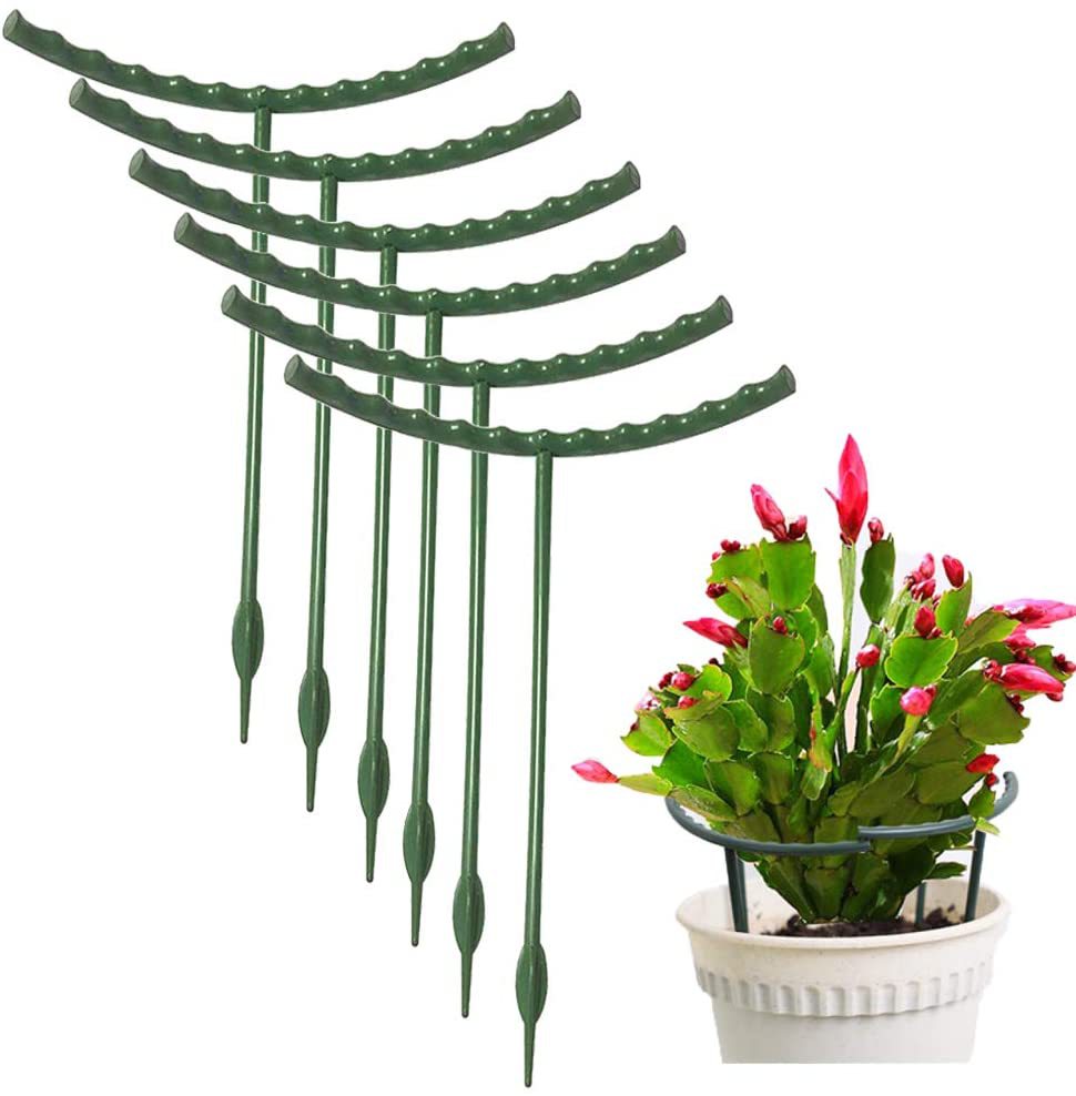 (🔥3rd Anniversary Sale) Plant Support Stake - Buy 3 Sets Get 2 Sets Free