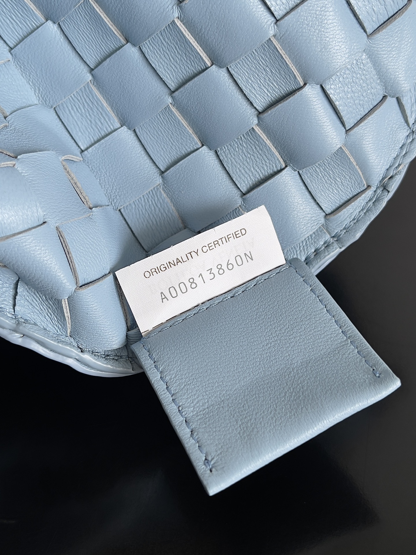 Bottega Veneta Sardine Large Handbag 754988