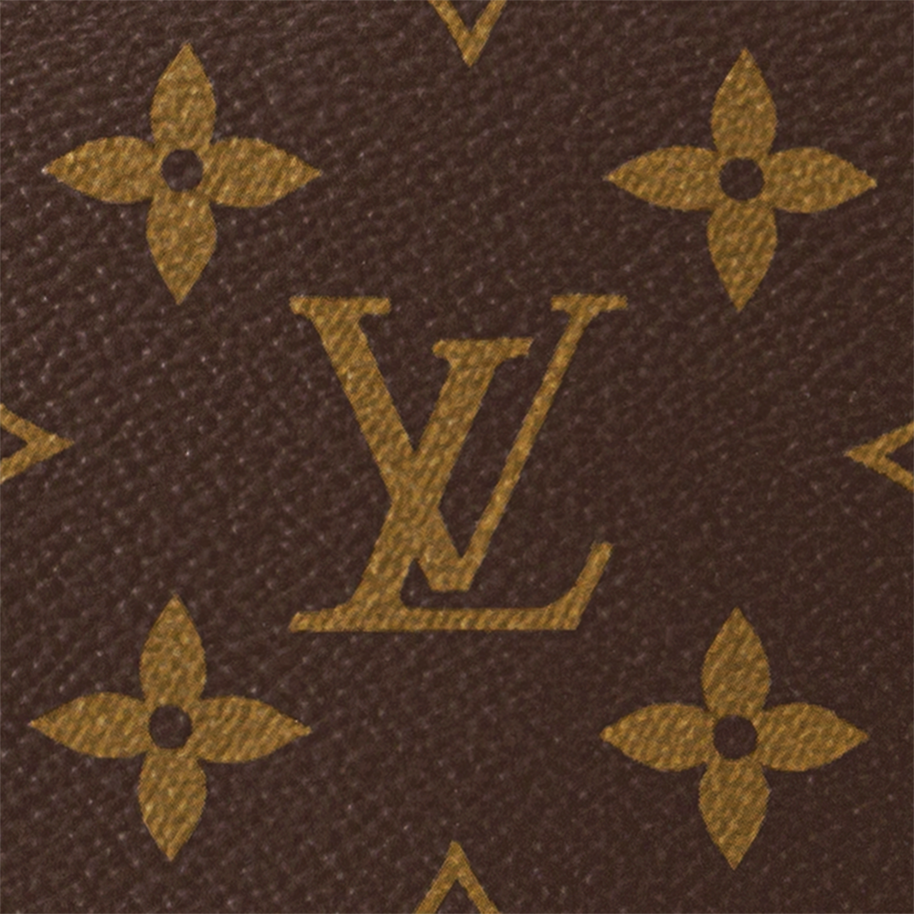 Louis Vuitton LOOP HOBO Handbag M46311