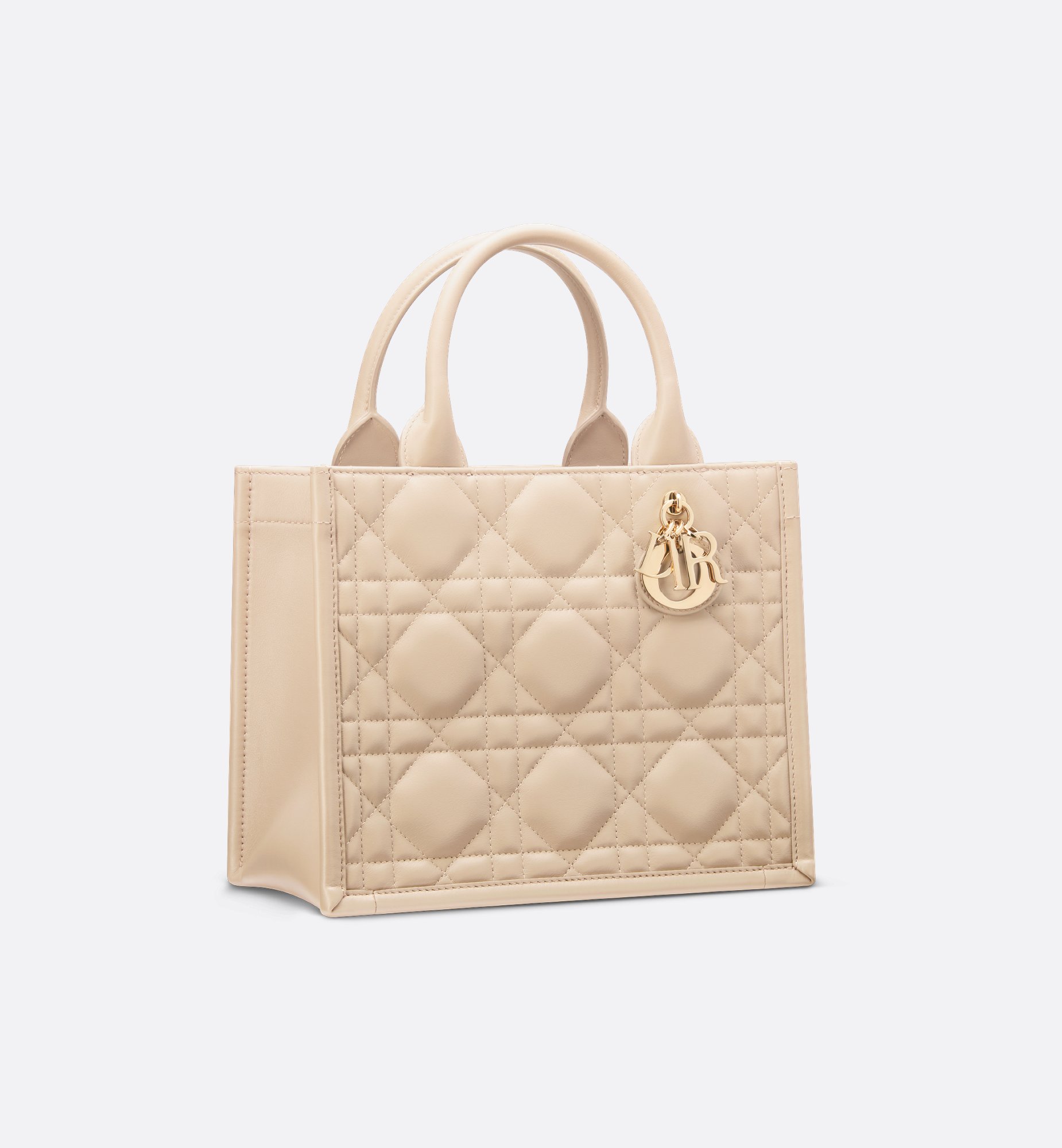 Dior Small Book Tote Bag M1325OWHP_M51U