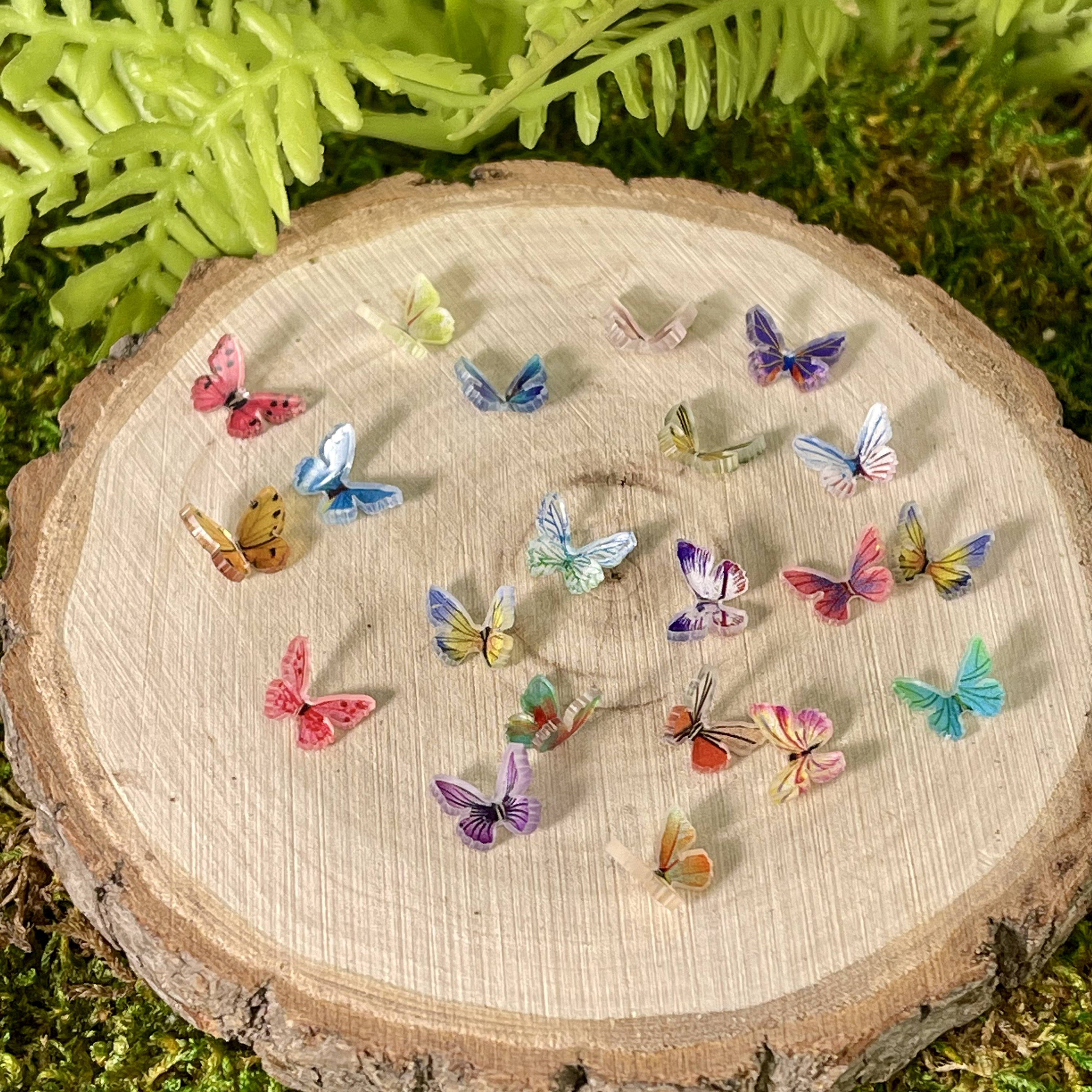 Tiny Butterfly🦋| Fairy Garden Accessories