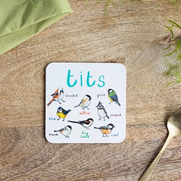 (🔥Last Day Promotion-SAVE 60% OFF)-Set of 6 Bird Pun Coasters