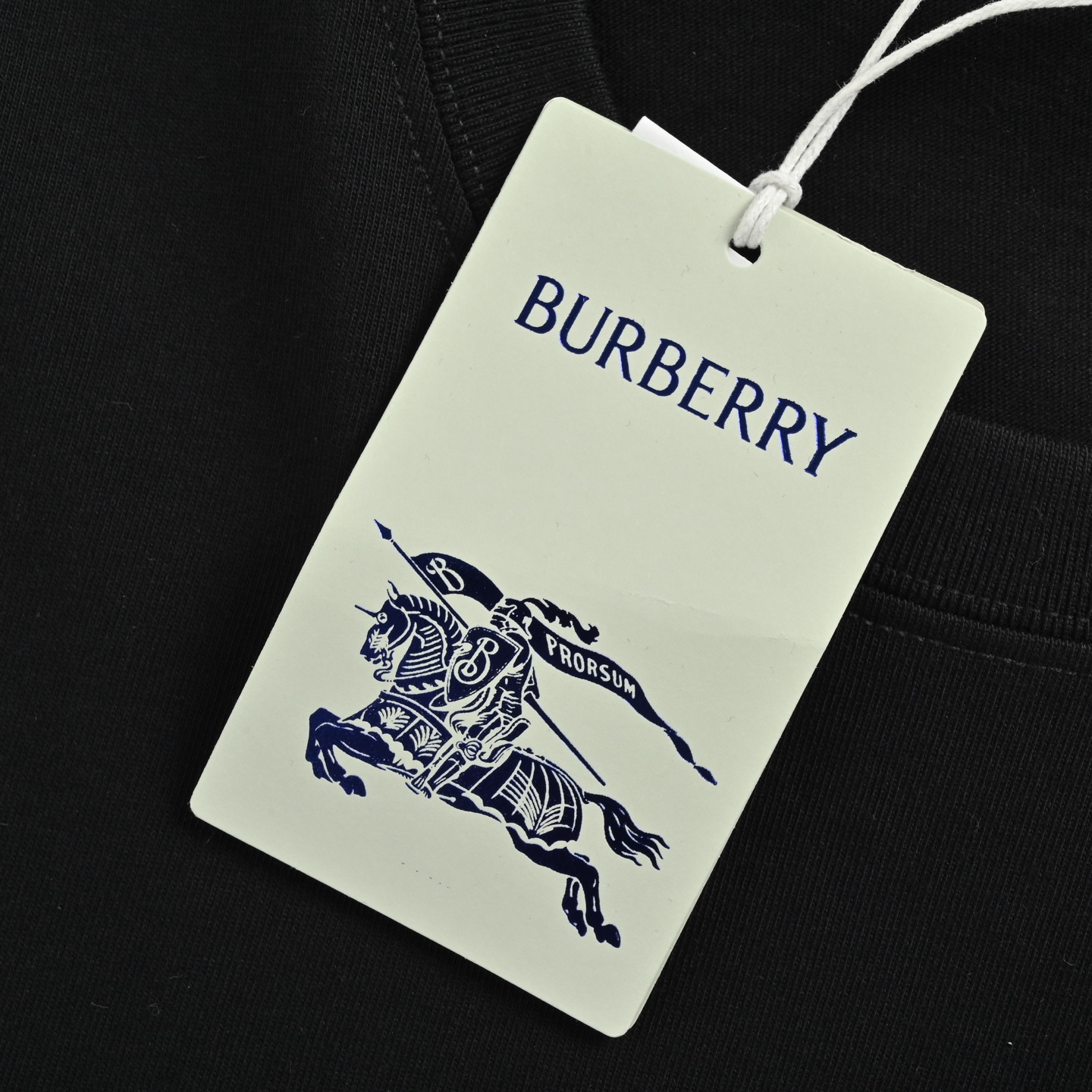 Burberry 25ss overlapping warhorse logo print short sleeve