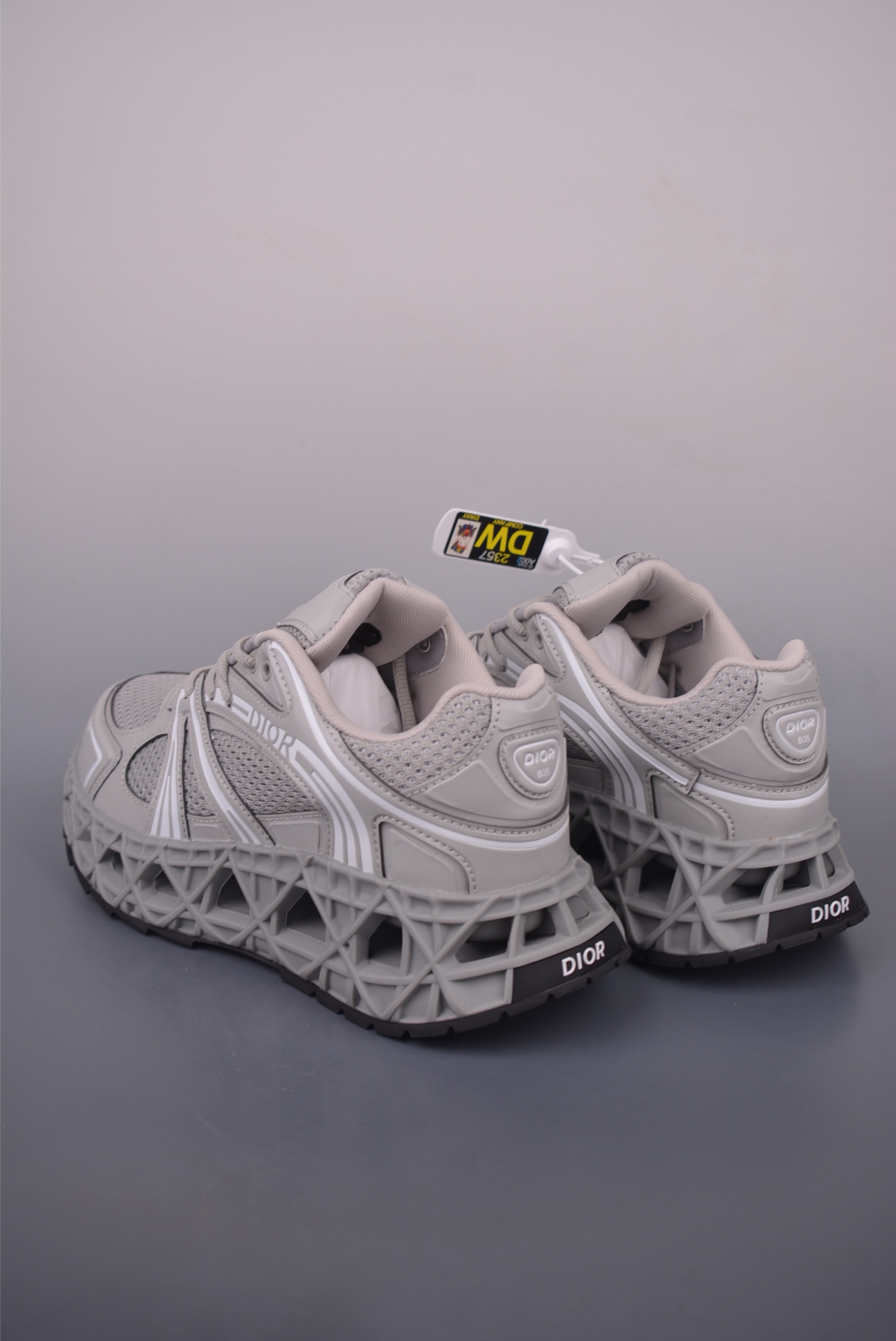 Dior x Kaws B35 NXT Daddy Shoes 3SN323ZCY3114
