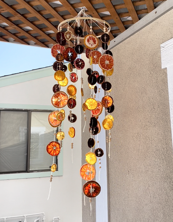 🍊Handcrafted Citrus & Pinecone Hanging Decor – Natural Sun-Catcher Vibes 🍁