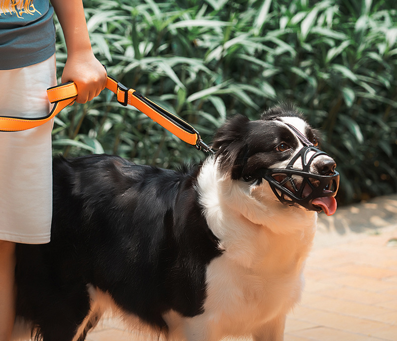 dog safety muzzle