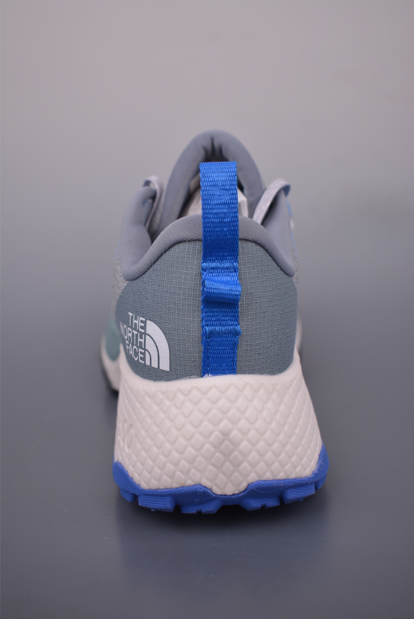 The North Face Altamesa 500 Hiking Shoes 