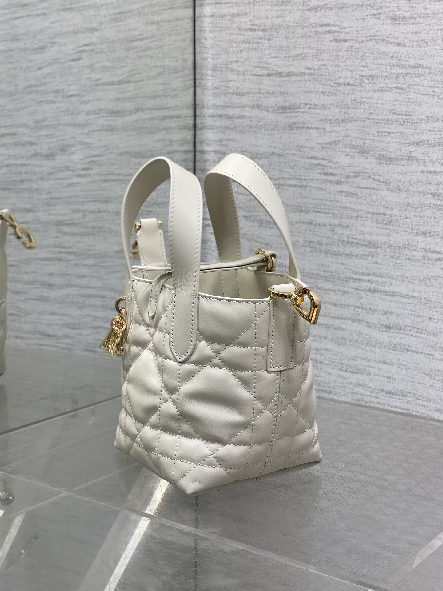 Dior Toujours vertical series mini