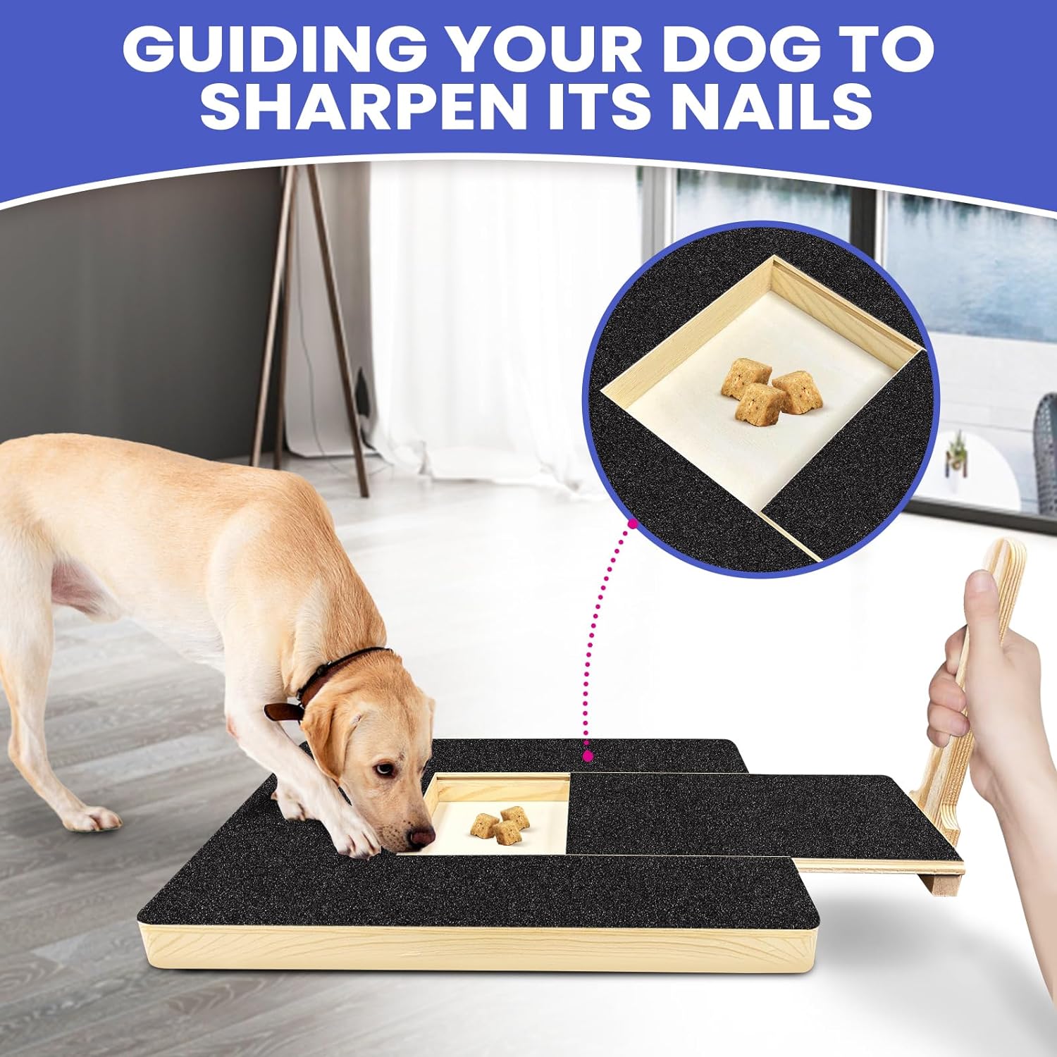 🔥Dog Paw Nail Scratch Pad - Dog Scratch Pad with Treat Box