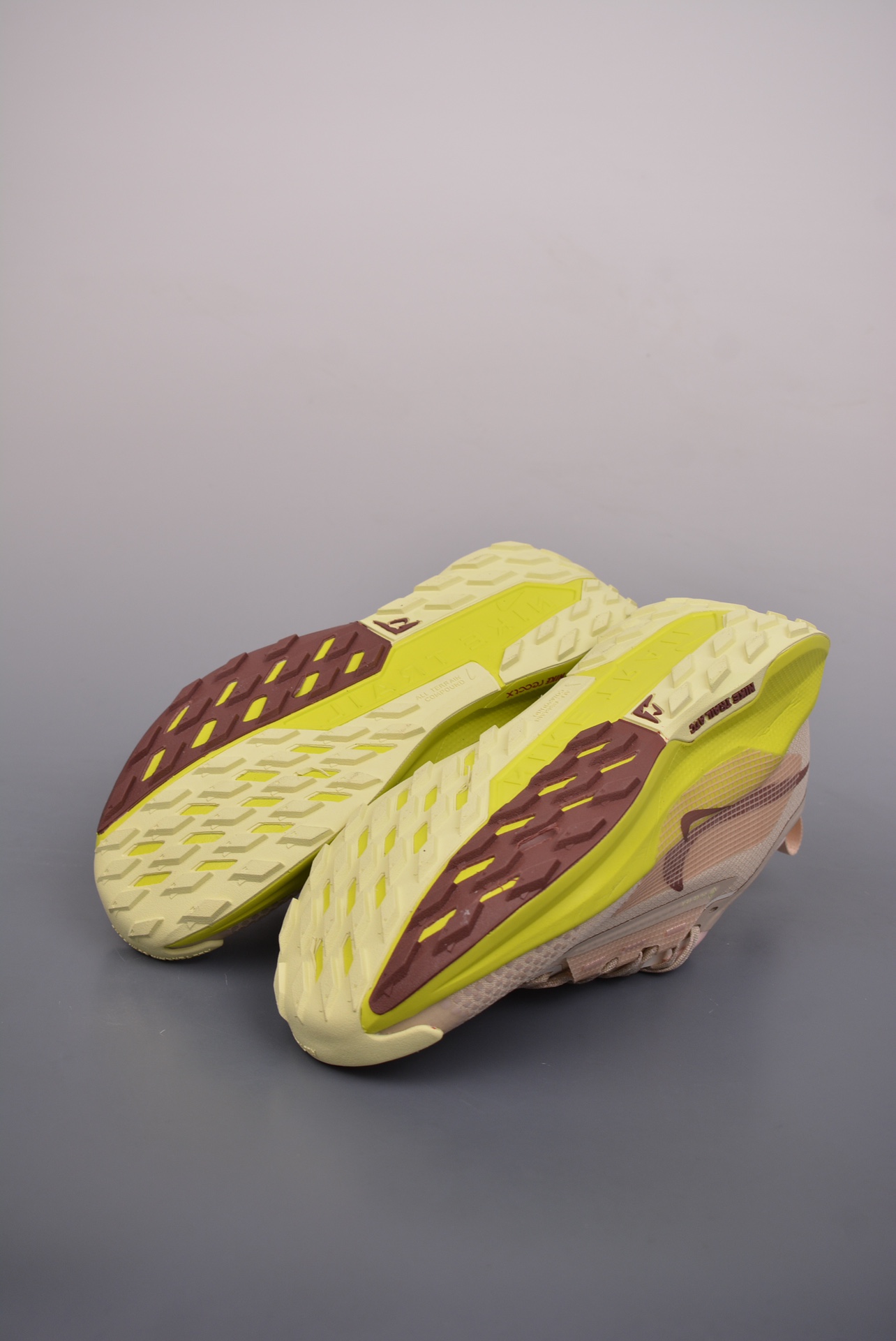 Nike Pegasus Trail 5 GTX Light Pink FQ9912-101