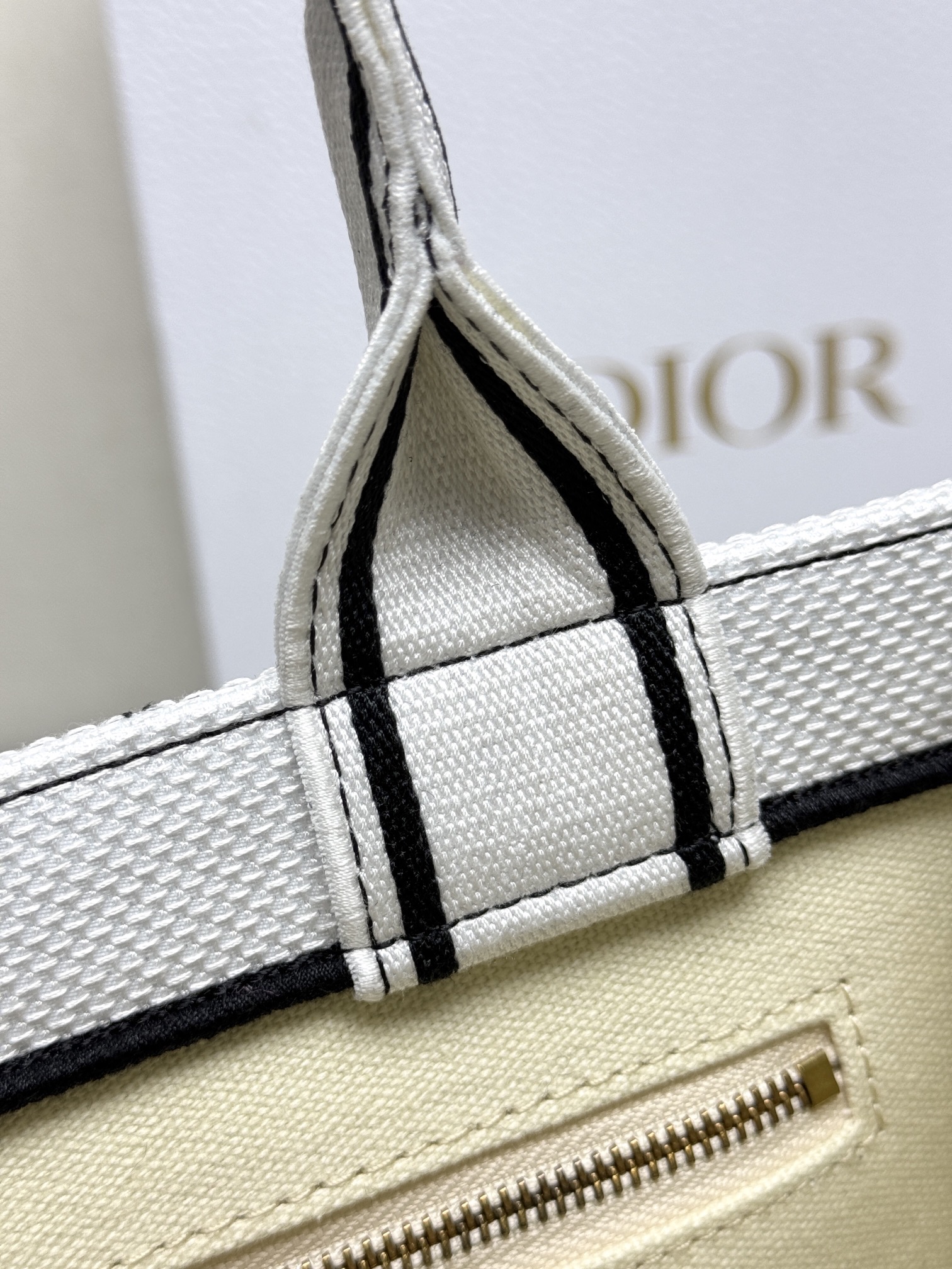 Dior Mini Book tote bag