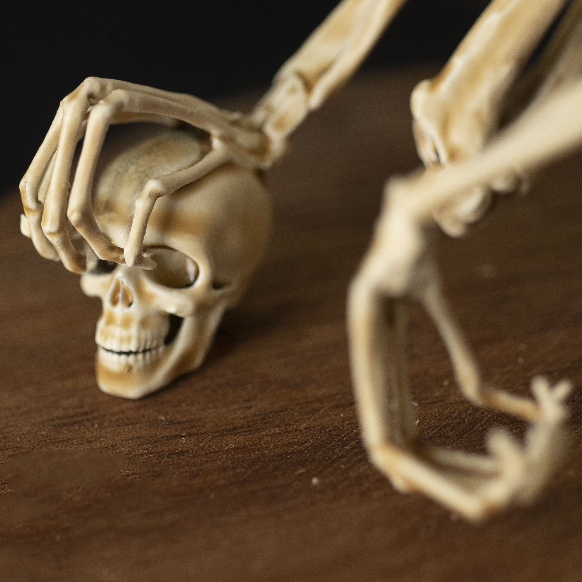 👍Last Day Promotion 60% OFF💥WENDIGO SKELETON CURIOSITY CABINET