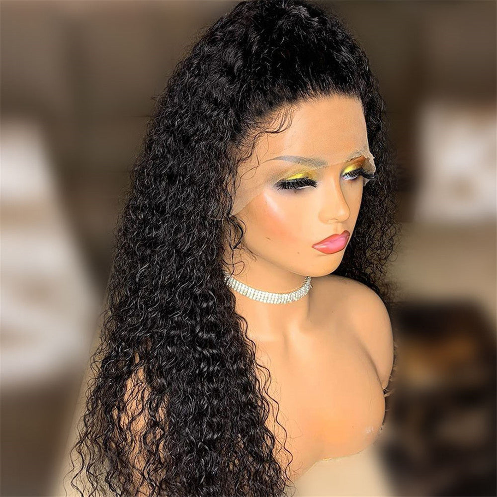 Luna wigs 1 x4 Lace Front 20-26 Inch Long Curly Wigs