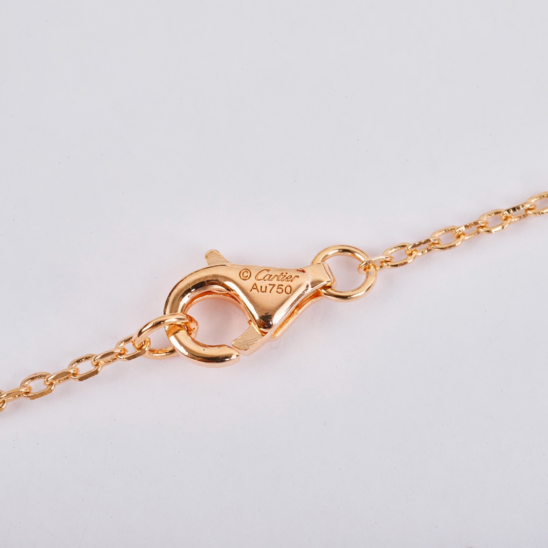 Cartier long chain amulet necklace