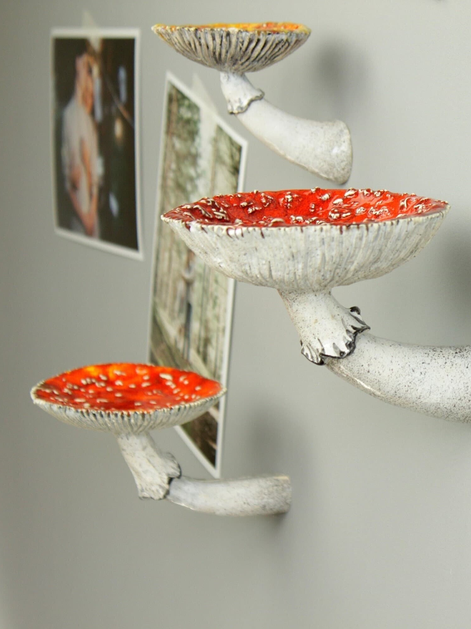 On Sale🔥Mushroom Shelf - Handmade Ceramic Mushroom Decor