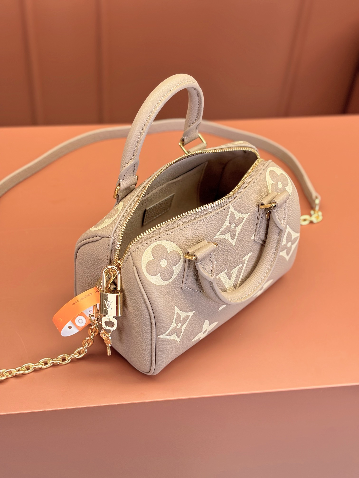 Louis Vuitton SPEEDY BANDOULIÈRE 20 Handbag M46575
