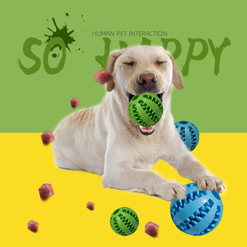 (🔥Clearance Sale Today-46% OFF)Pet teething toy ball-BUY 3 GET 20% OFF & FREE SHIPPING