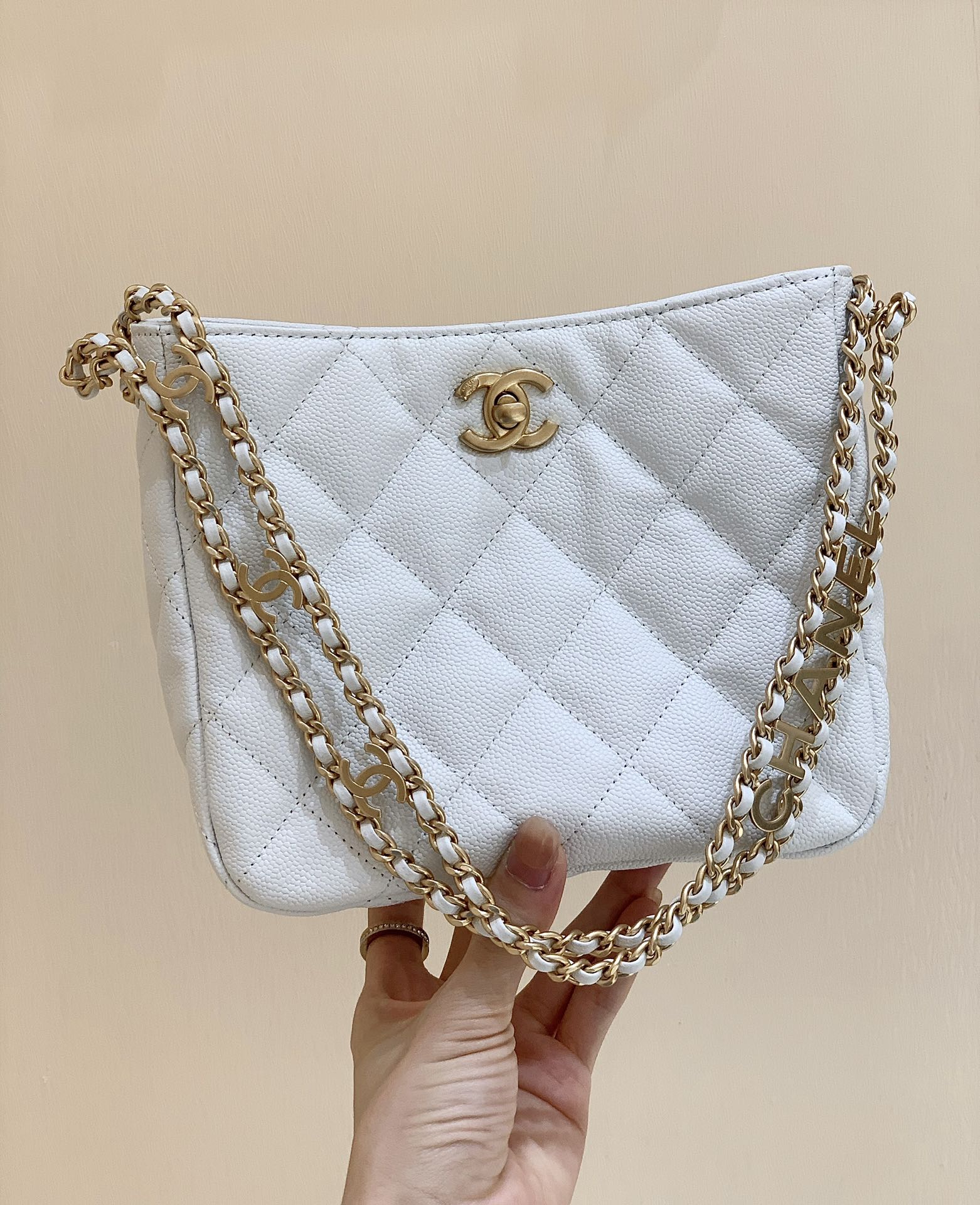 Chanel 2022cc Spring/Summer Collection Hobo Underarm Bag AS3223
