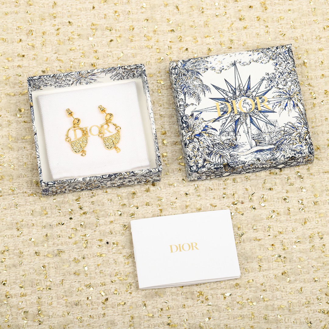 Dior Saddle Bag Earrings