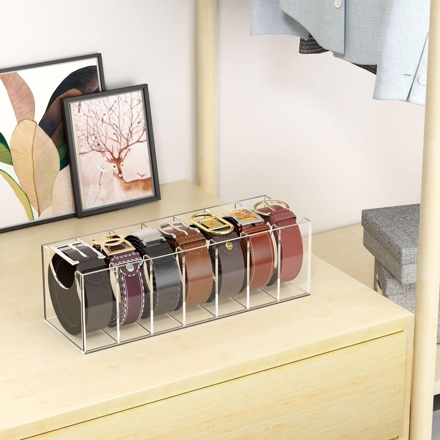 🤩Acrylic Belt Storage Holder for The Closet