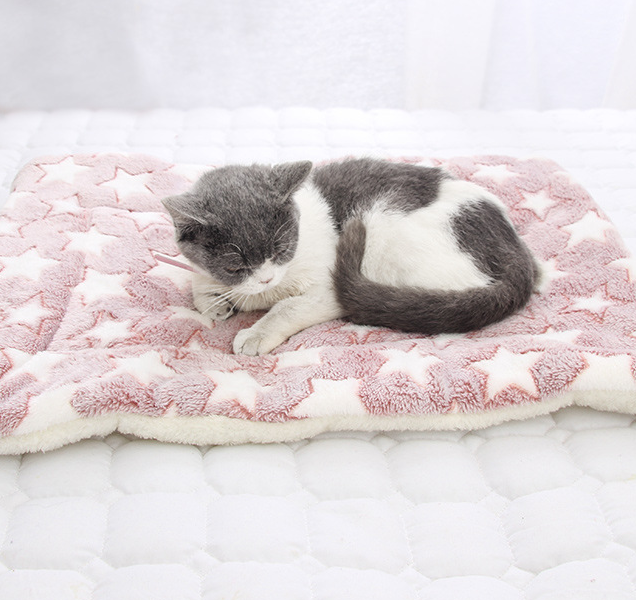 (💥49% OFF--Last Day Sale)--Cozy Calming Cat Blanket--BUY 2 GET 10% OFF
