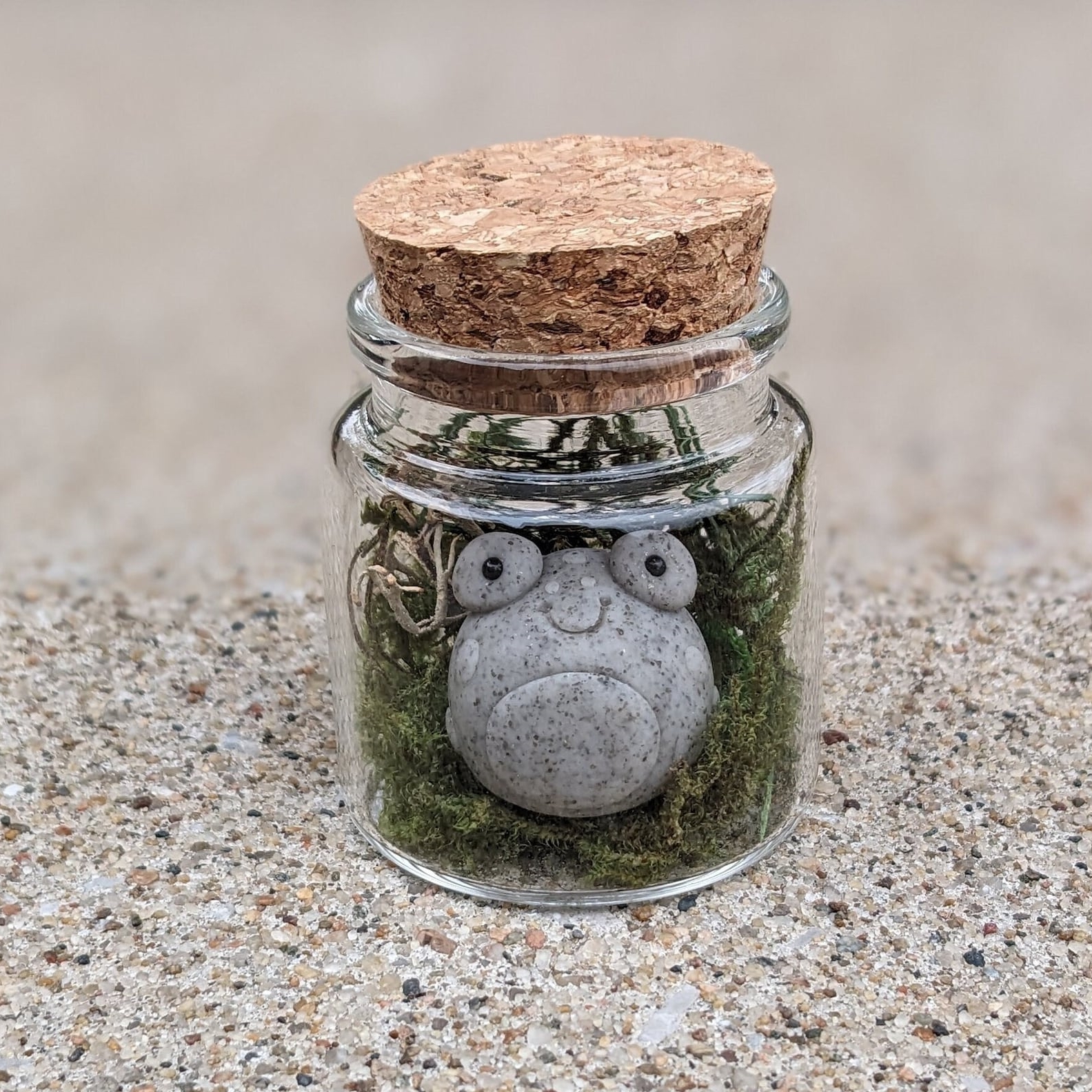 On Sale🔥Adopt A Rock Pet