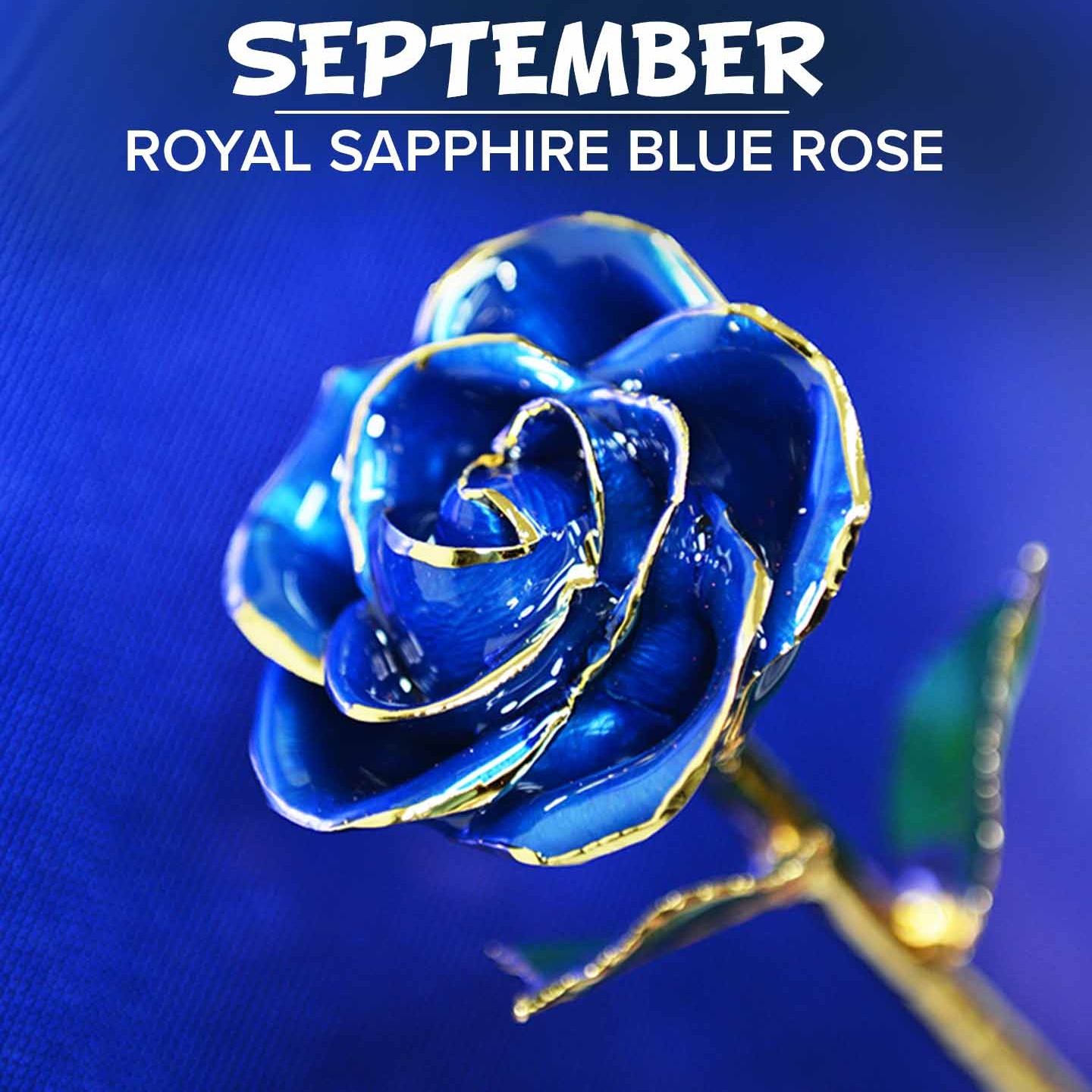 🔥HOT SALE🔥24kt Gold Dipped Rose Real Rose