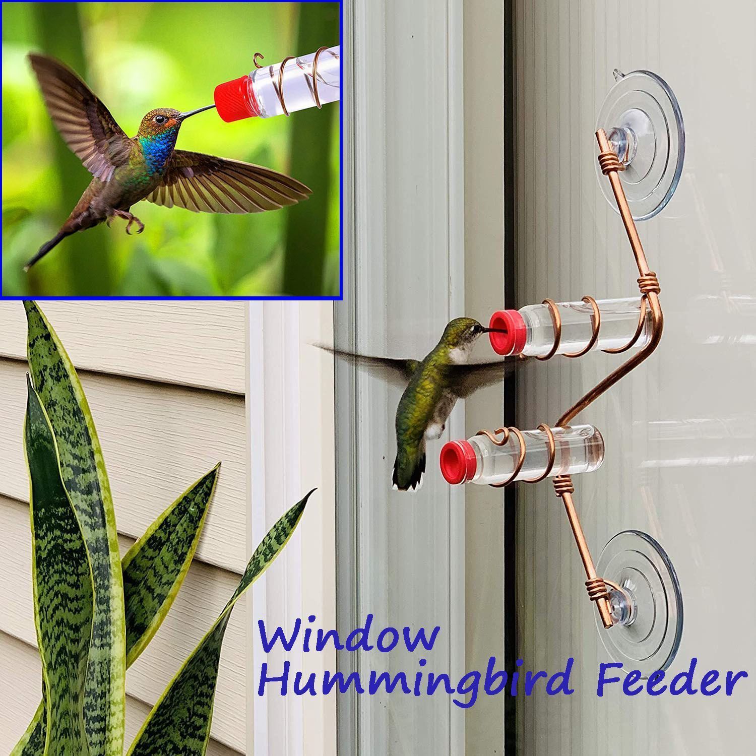🔥Last Day 50% OFF🔥Geometric Window Hummingbird Feeder🐦BUY 3 GET 2 FREE & FREE SHIPPING