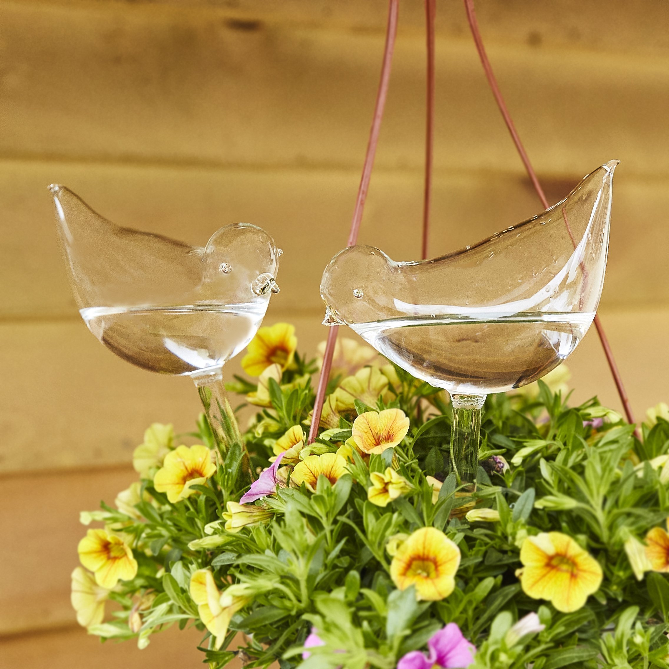🔥45% OFF Last Day Sale -Self-Watering Plant Glass Bulbs-BUY 4 SETS FREE SHIPPING