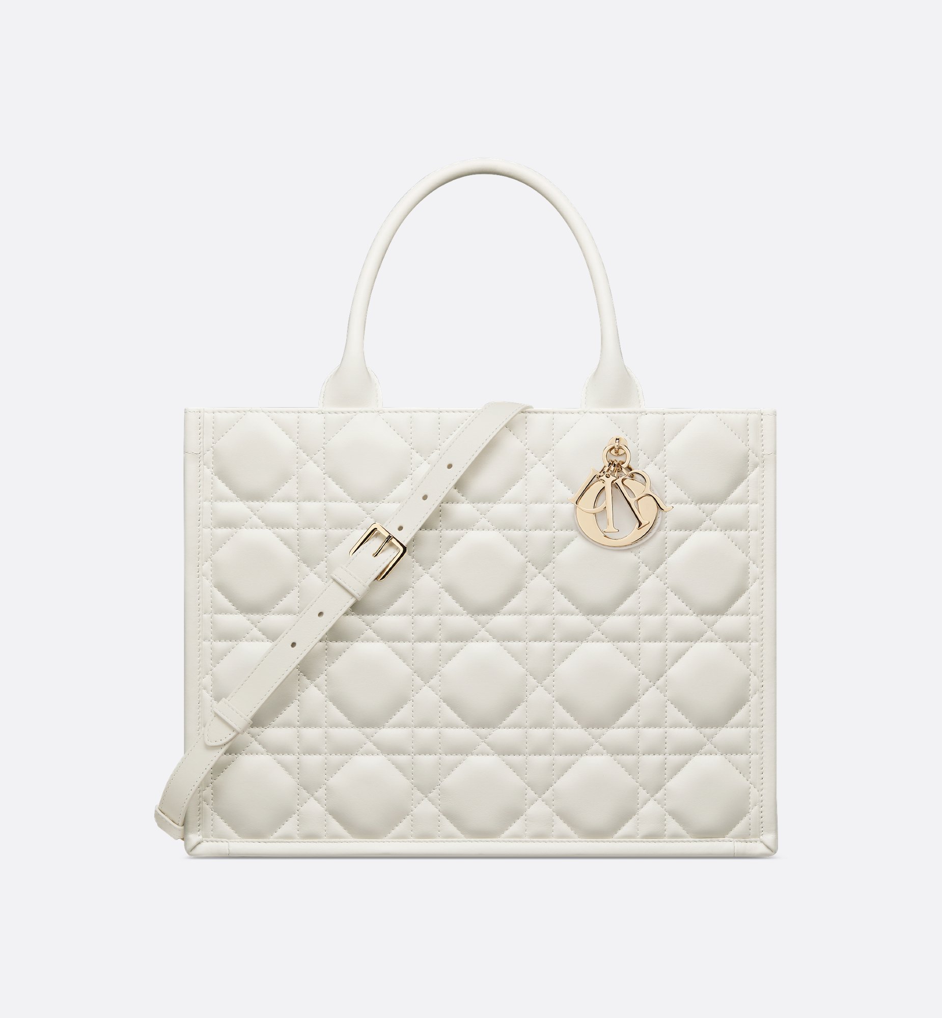 Dior Medium Book Tote Bag M1324OWHP_M030