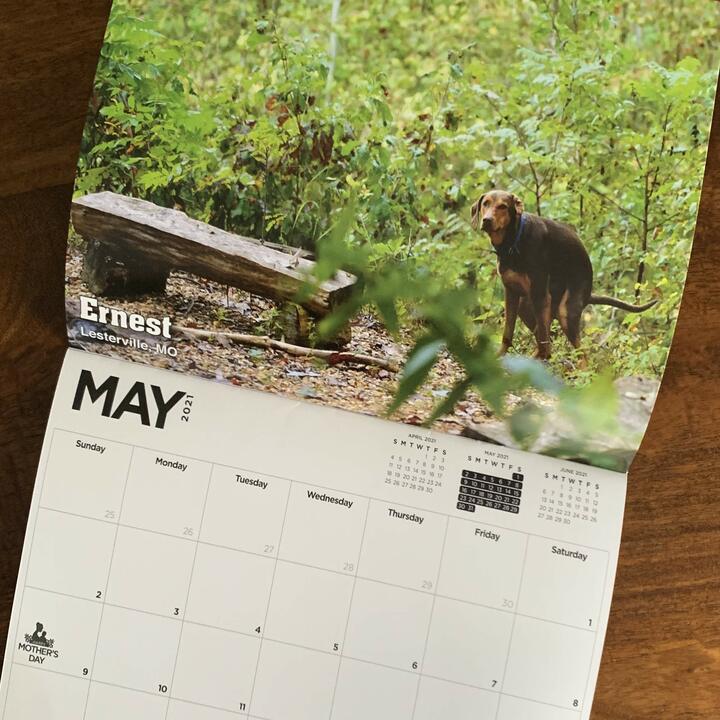 2021 Pooping Pooches White Elephant Gag Gift Calendar Calendar