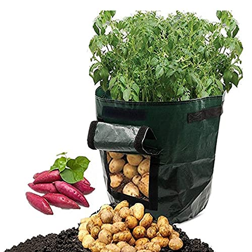 (🔥Last Day Promotion-SAVE 50% OFF)10 Gallons Large Capacity Vegetables Grow Planter PE Container Bag-BUY 4 GET 10% OFF & FREE SHIPPING