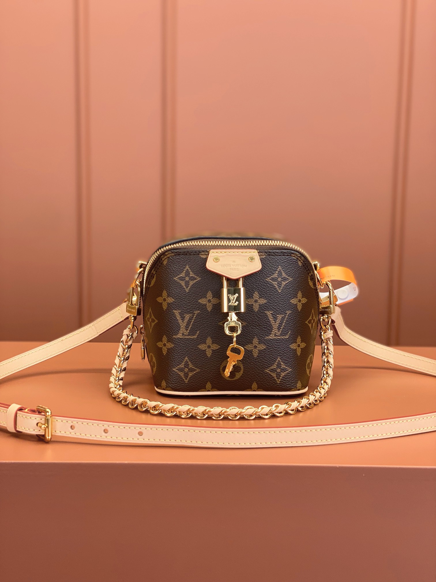 Louis Vuitton Just In Case Bag M47096