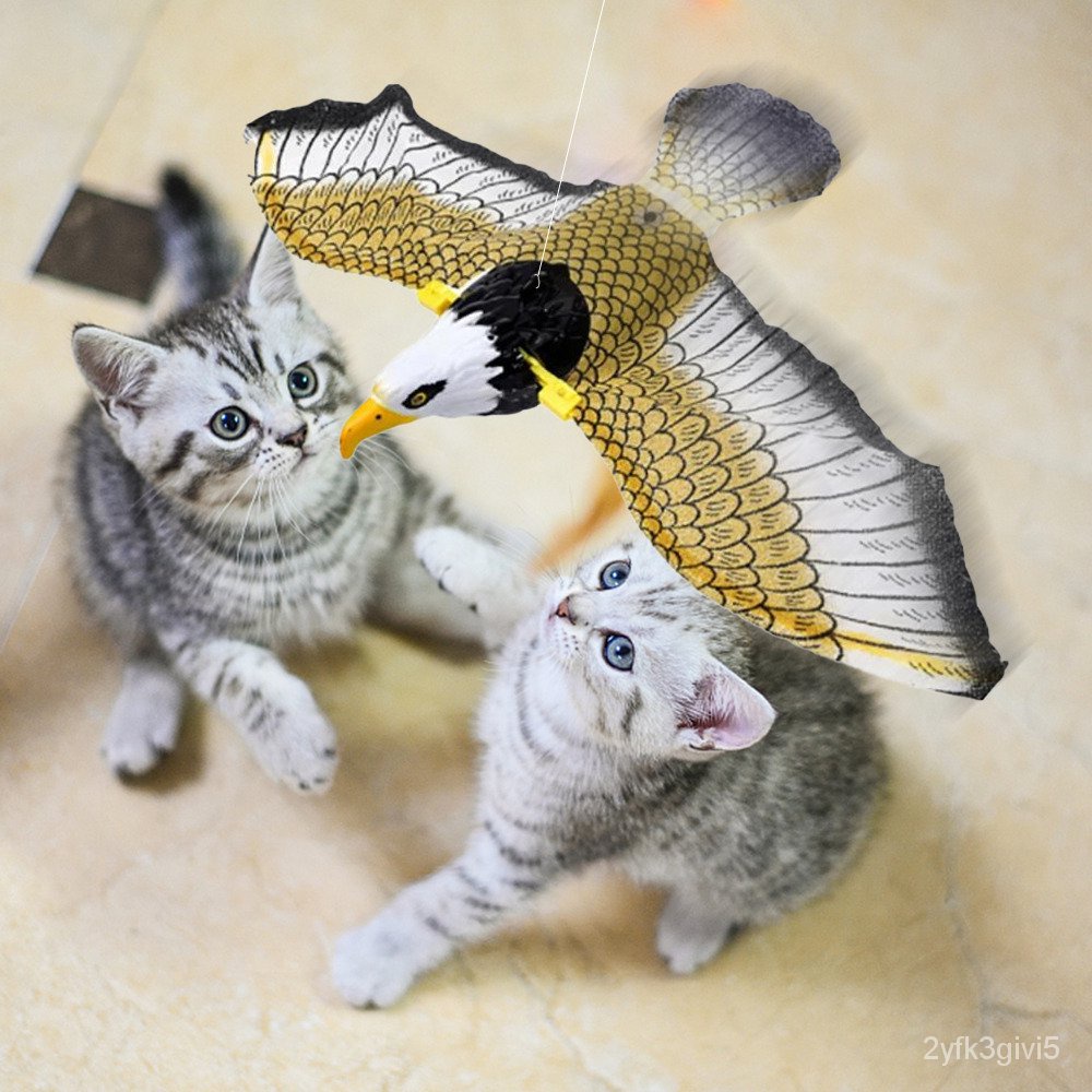 🔥Last Day Promotion - 50% OFF🔥 Interactive Cat Toys  - Buy 3  Get 2 Free & Free Shipping
