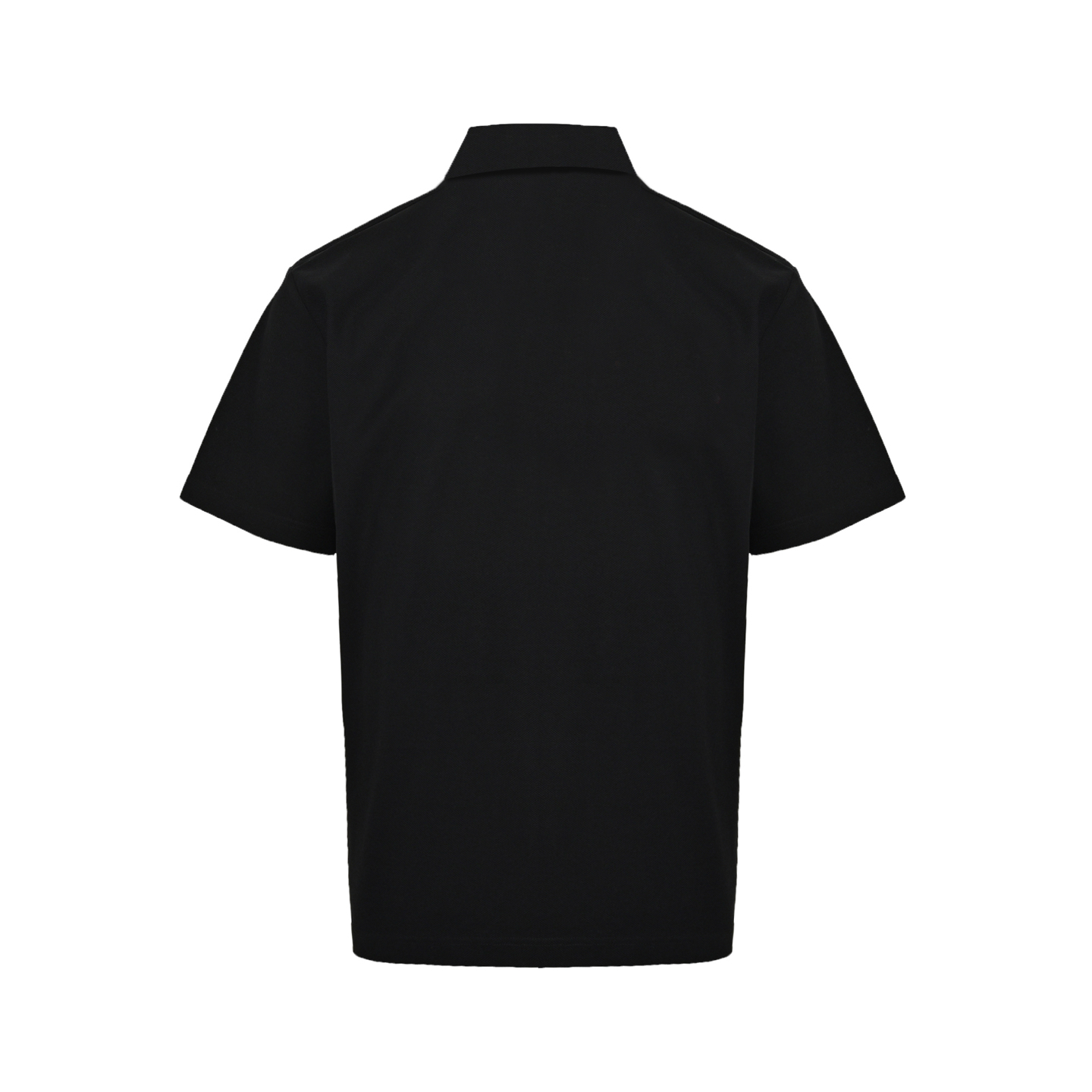 Dior 25ss KAWS Year of the Snake Embroidered Small Logo Polo Short Sleeve