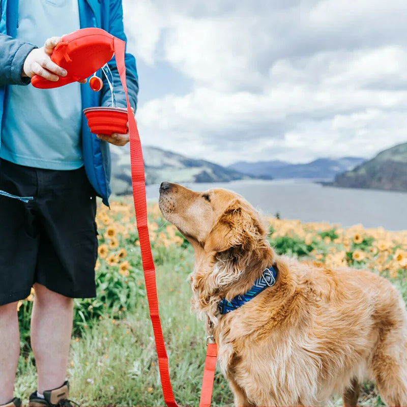 🔥Last Day Promotion 50% OFF - PETGEAR ESSENTIALS:5 in 1 Dog Leash