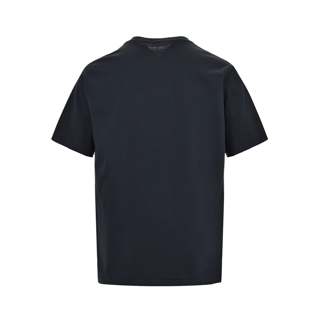 Dior 24ss pocket dinosaur embroidered short sleeve