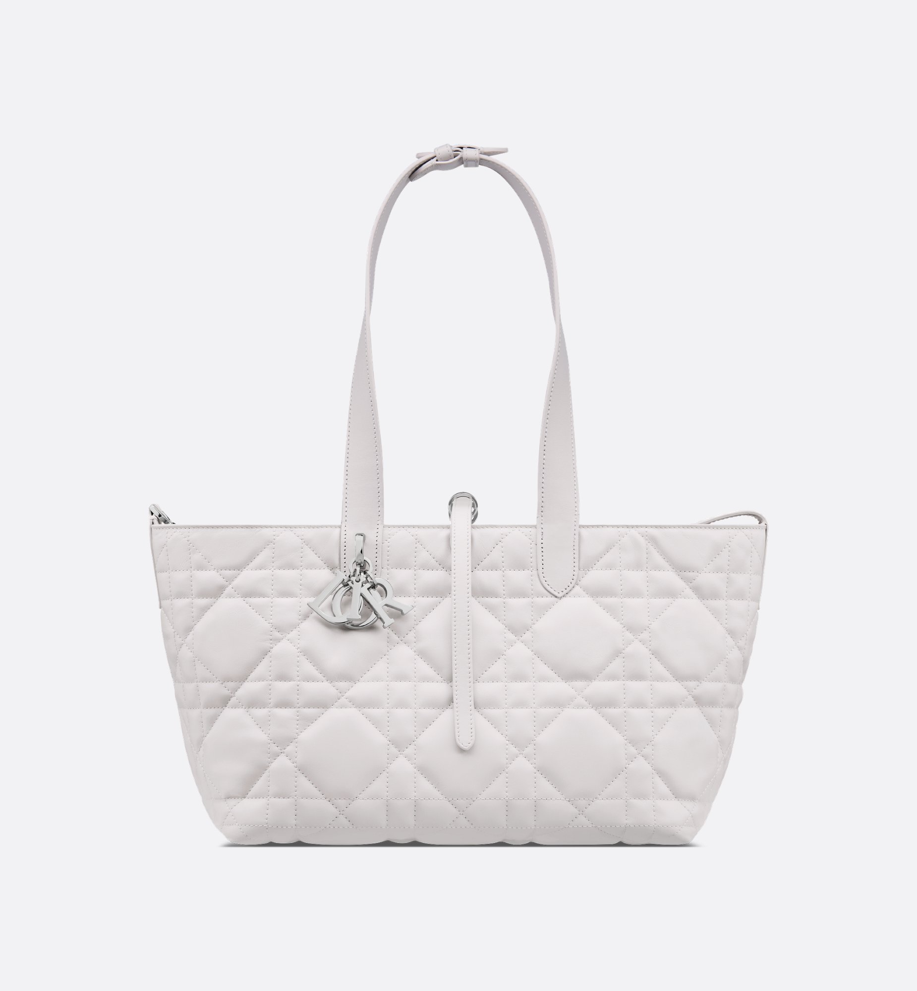 Dior Medium Dior Toujours Bag M2821PSNW_M19G